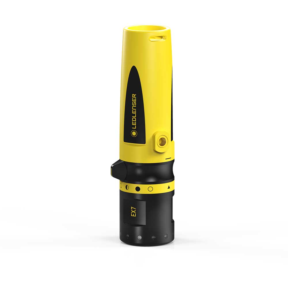 EX7_500836_standard_standing