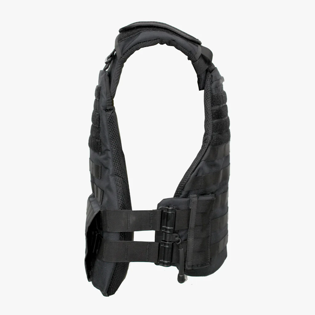 a6079a_875fc27e26a243ea8c0b70fe2b5a872emv2