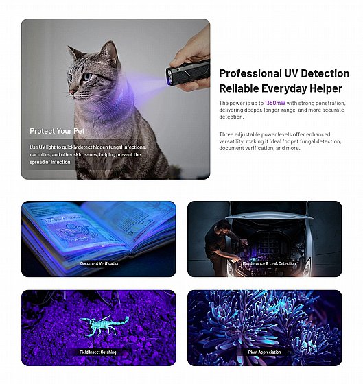 EDC17_241120251555208619_large