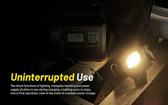 NWL30_030620251357168032_large