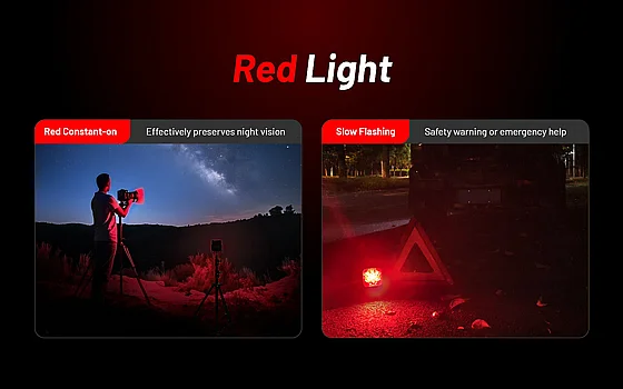 NWL30_030620251357178033_large