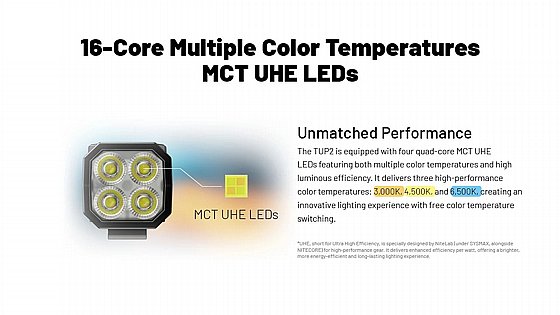 TUP2_191020251423408545_large