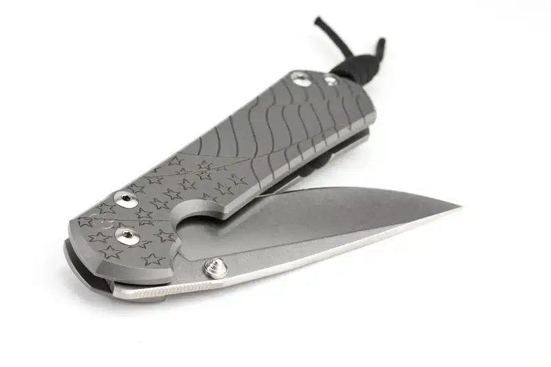 Chris Reeve Large Sebenza 31 CGG Forever Flag Drop Point – תמונה 8