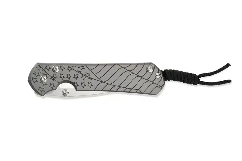 Chris Reeve Large Sebenza 31 CGG Forever Flag Drop Point – תמונה 2