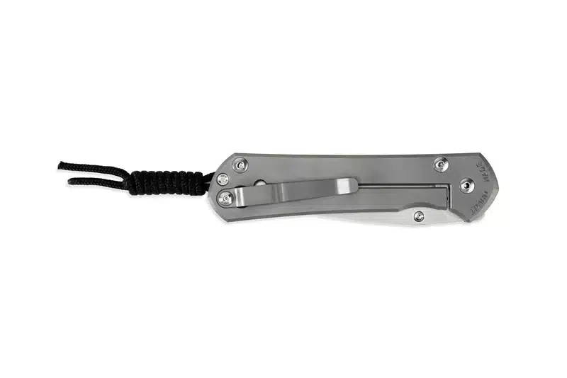 Chris Reeve Large Sebenza 31 CGG Forever Flag Drop Point – תמונה 4