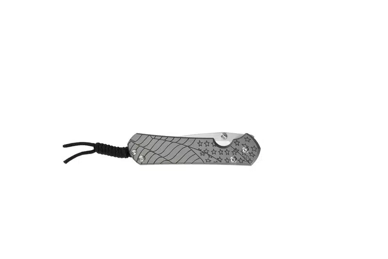 Chris Reeve Large Sebenza 31 CGG Forever Flag Drop Point – תמונה 5